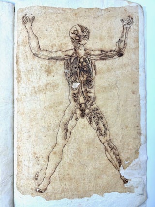 Tavole anatomiche del Veslingio spiegate in lingua italiana